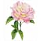 Diamond Dotz® Intermediate Pink Rose with Frame Diamond Painting Kit